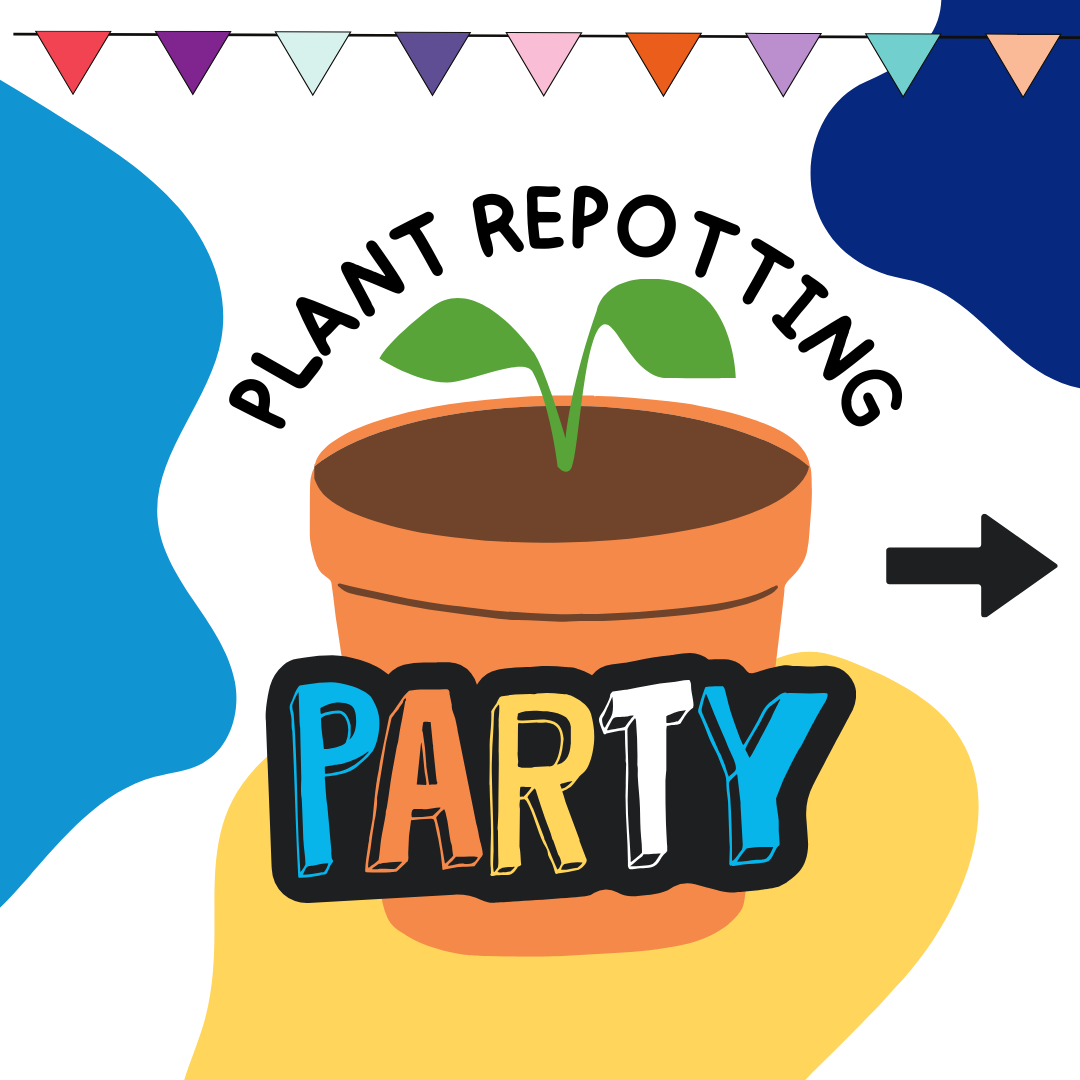 Decorative image on a white background, featuring decorative blue and yellow splashes. In the center sits a large orange planter containing a small green seedling. Surrounding the planter is the title "Repotting Plan" in black letters. In the background appears the second part of the title, "Party," written in capital letters alternating colors blue, orange, yellow, white, and blue respectively for each letter.